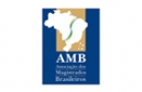 AMB  Associação dos Magistrados Brasileiros